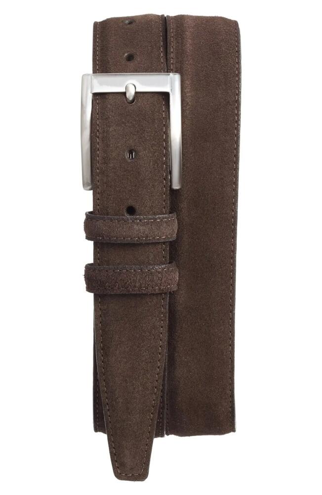 Torino Suede Belt in Espresso Cover