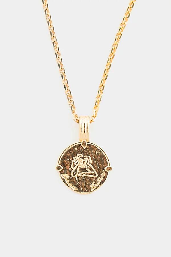 Deux Lions Jewelry Gold Zodiac Necklace in Leo Cover