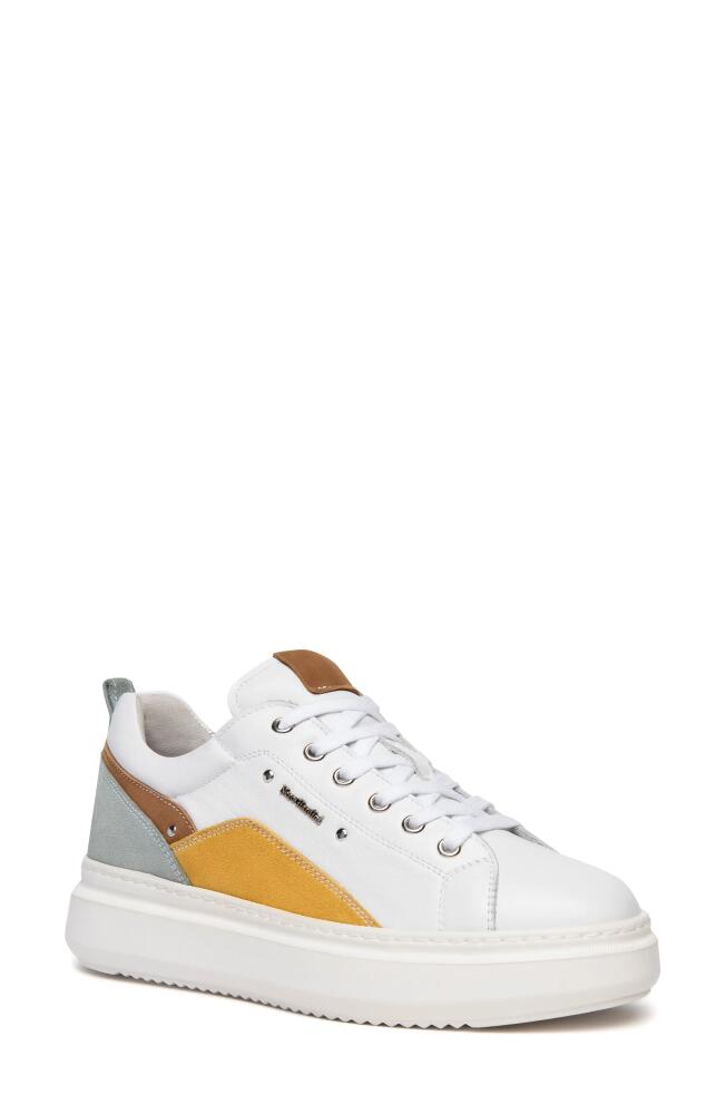 NeroGiardini Retro Colorblock Sneaker in White Multi Cover