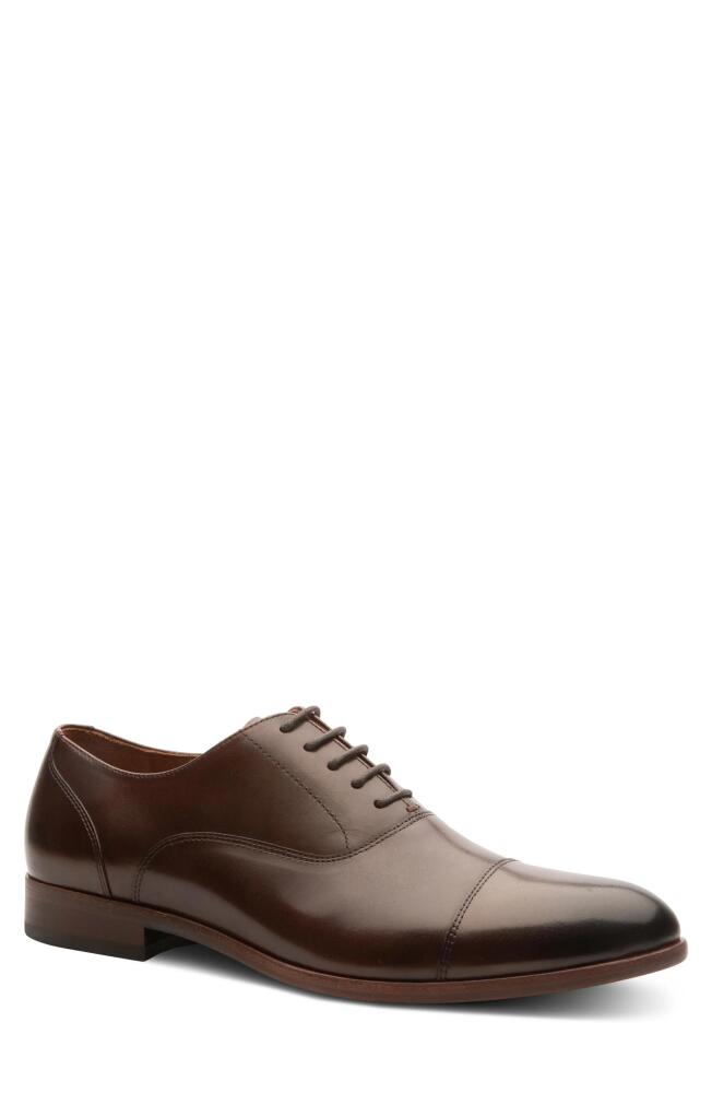 Gordon Rush Adams Cap Toe Oxford in Brown Cover