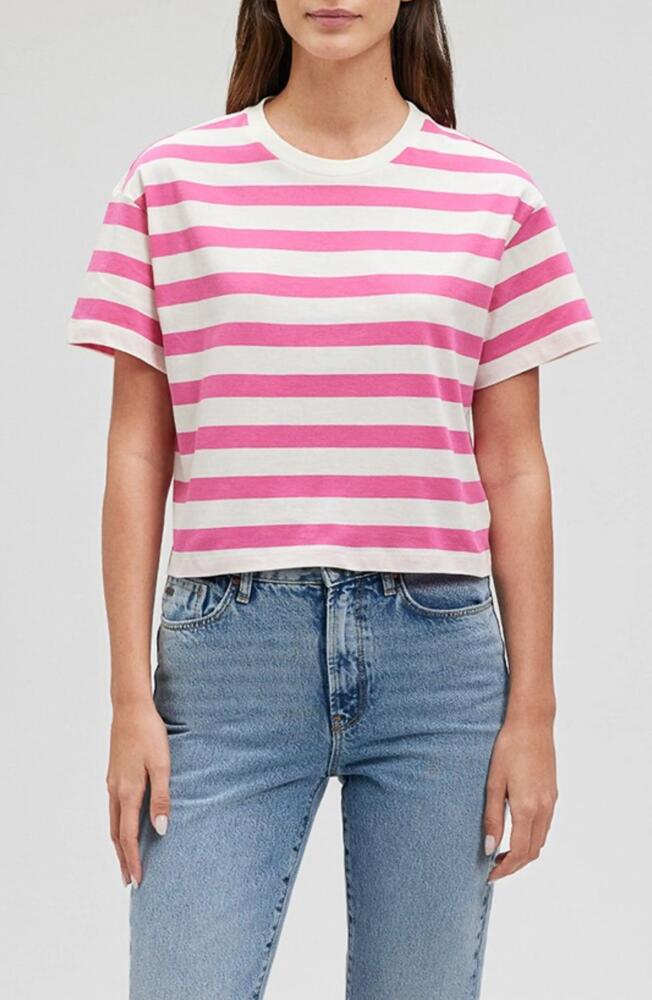 Mavi Jeans Stripe Short Sleeve Crop T-Shirt in Shocking Pink Cover