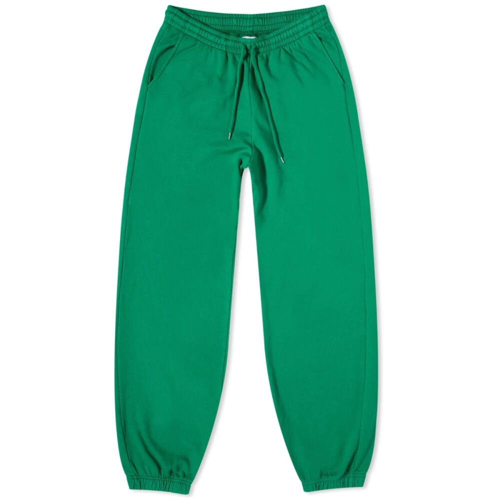 Colorful Standard Organic Sweat Pant in Kelly Green Cover