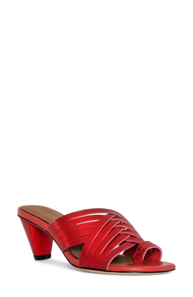 Donald Pliner Alannis Slide Sandal in Tomato Cover