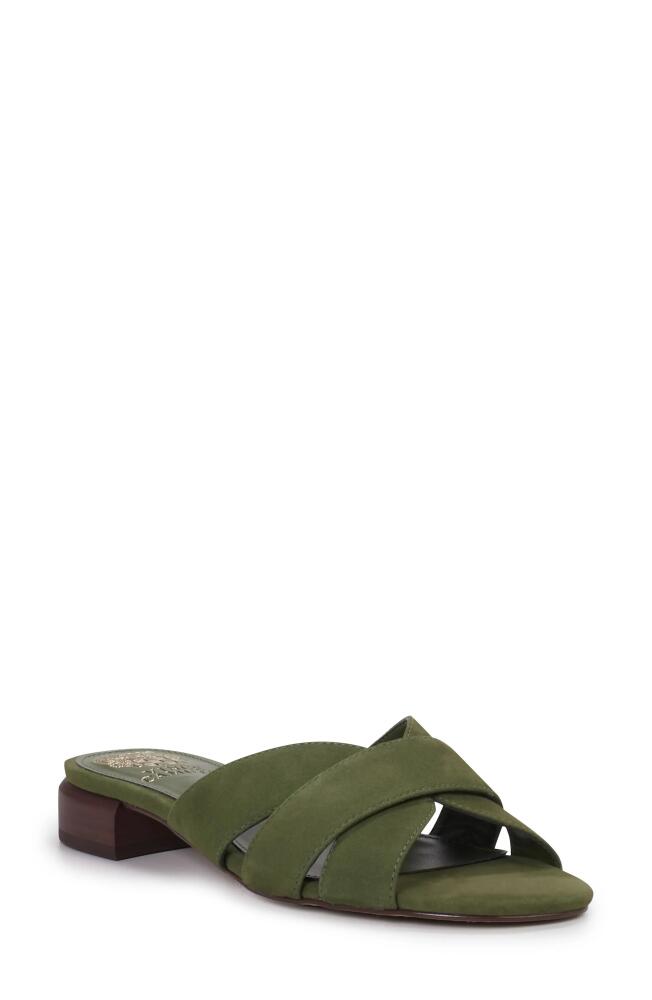 Vince Camuto Maydree Slide Sandal in Lush Olive Cover