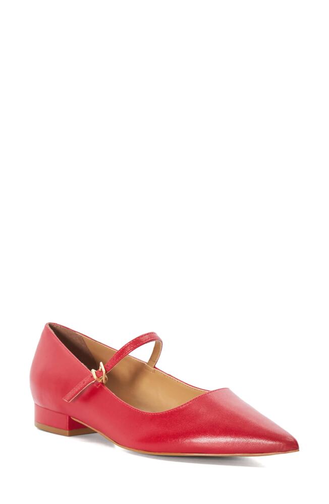 Dune London Hastas Pointed Toe Mary Jane Flat in Red Cover