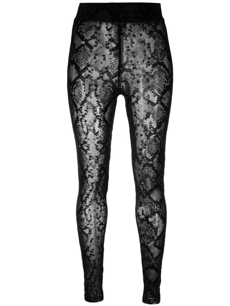 Philipp Plein logo-embroidered high-waisted leggings - Black Cover