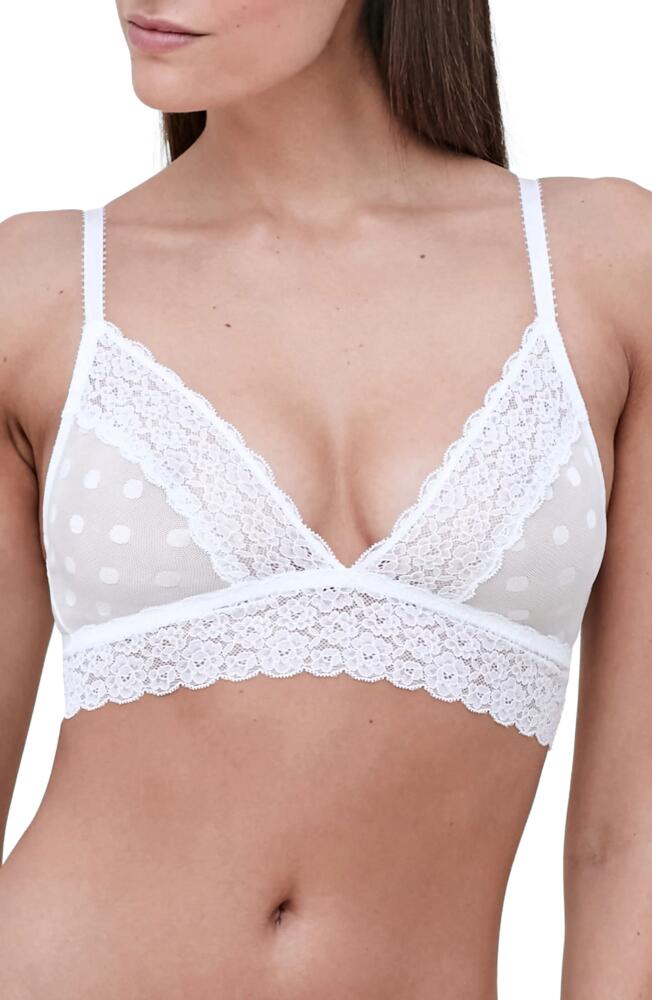 Skarlett Blue Dare Lace Bralette in White Cover