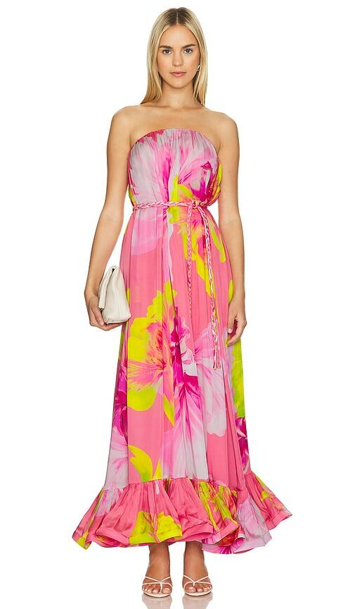 HEMANT AND NANDITA Maxi Dress in Pink Cover