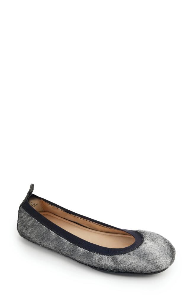 Yosi Samra Samara Genuine Calf Hair Ballet Flat in Silver Calf Hair Cover