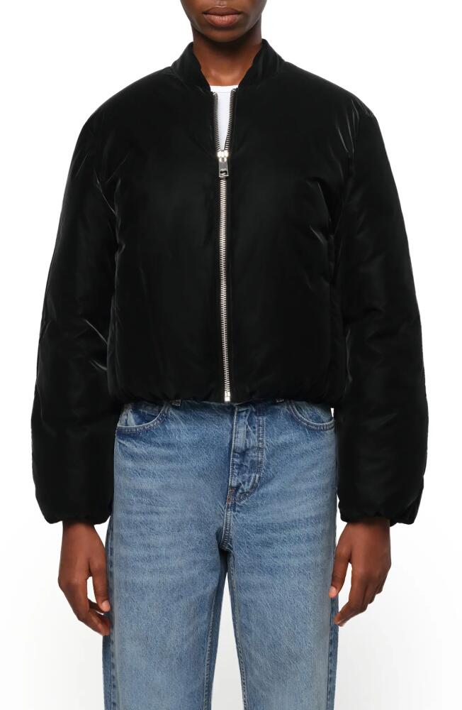 Apparis Leni Padded Bomber Jacket in Noir Cover