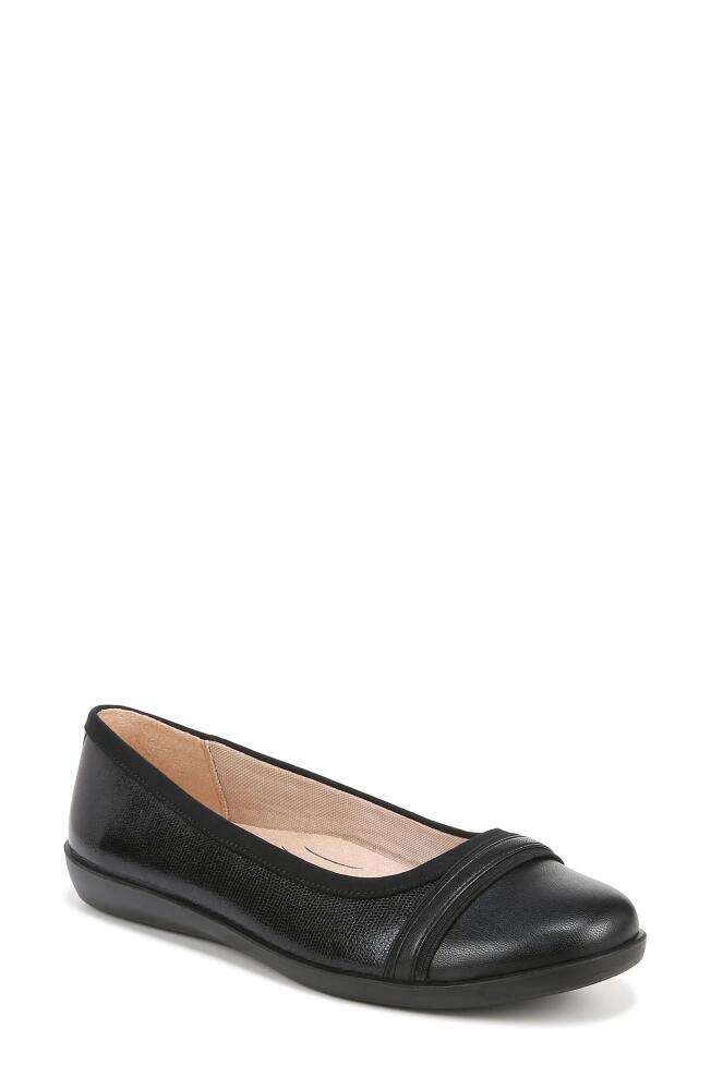 LifeStride Nile Ballet Flat in Black Cover