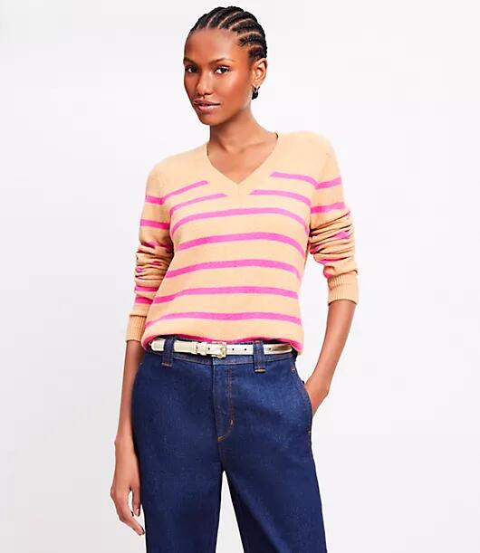 Loft Stripe Relaxed V-Neck Sweater Cover