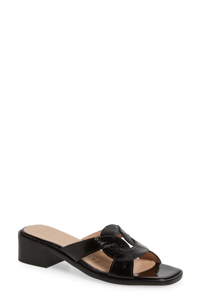 Wonders Leather Slide Sandal in Menorca Black Cover