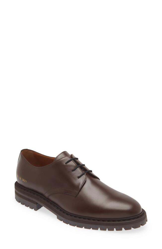 Common Projects Plain Toe Derby in Brown 3621 Cover