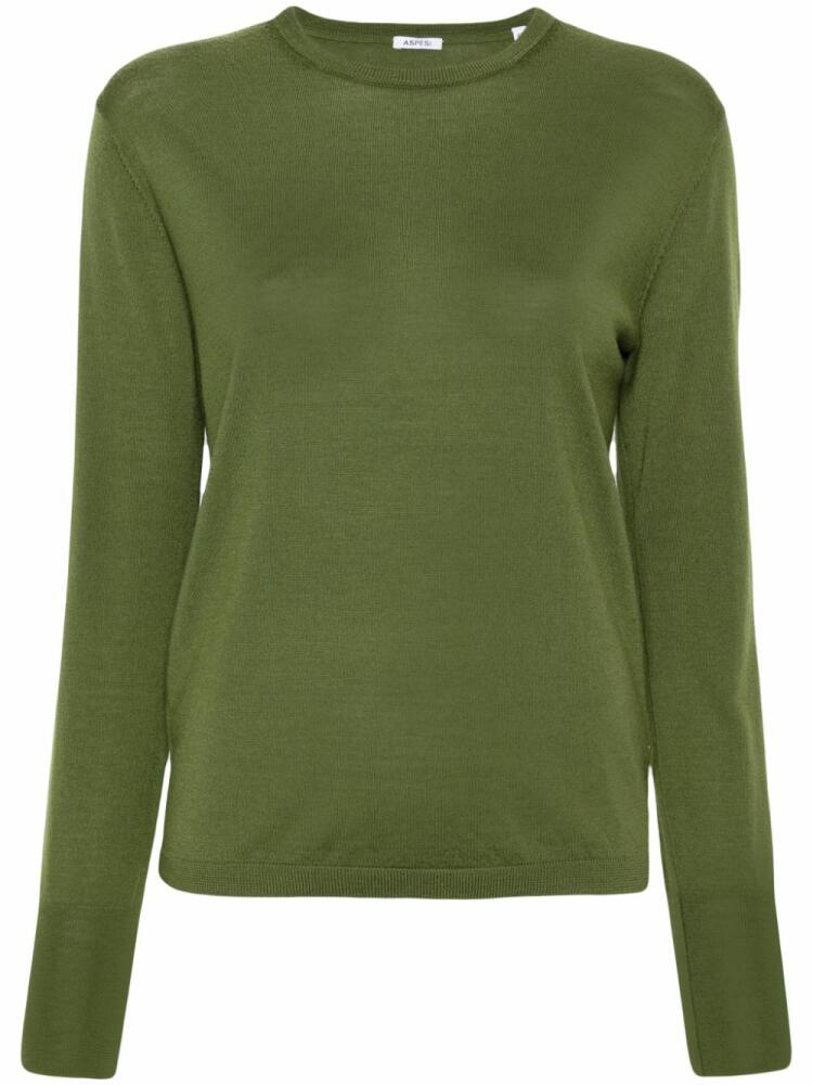 ASPESI wool sweater - Green Cover