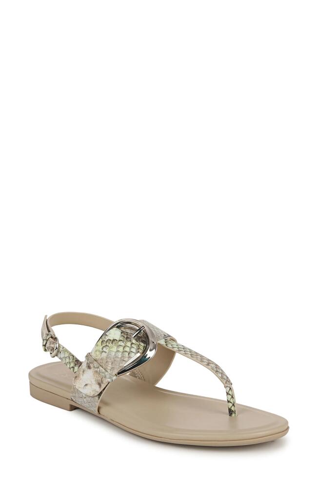 Naturalizer Taylor Slingback Flip Flop in Lime Faux Snake Leather Cover