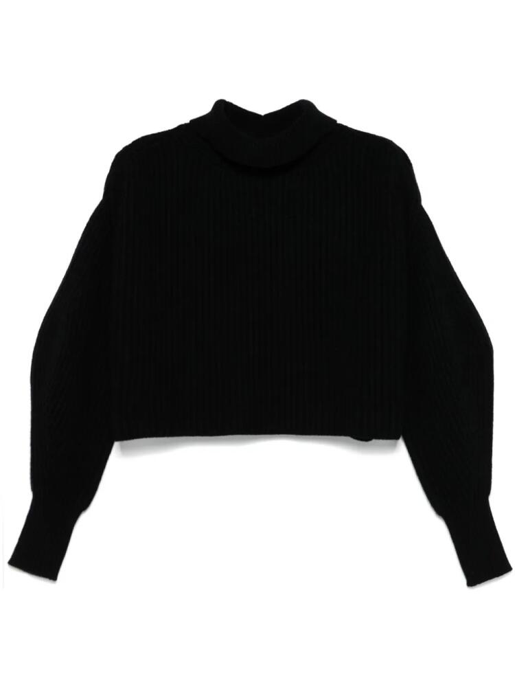 ANDREĀDAMO ribbed cropped sweater - Black Cover