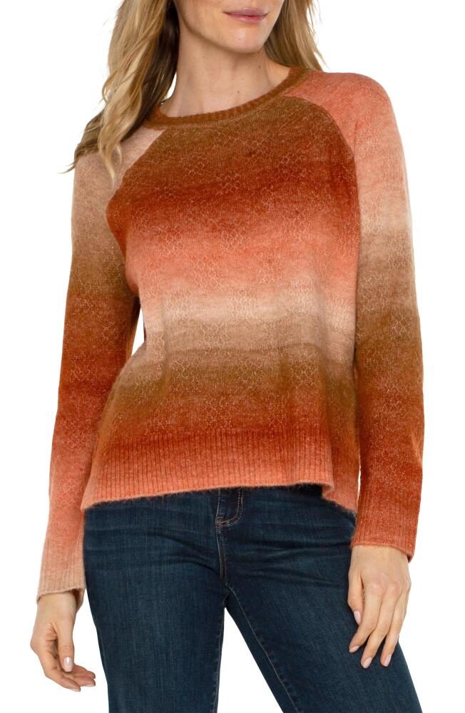 Liverpool Ombré Stripe Raglan Sleeve Crewneck Sweater in Orange Ombre Cover