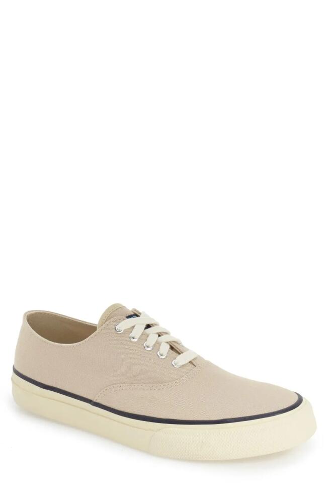 Sperry 'Cloud CVO' Sneaker in Birch Cover