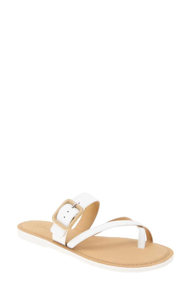 Splendid Sutton Toe Loop Sandal in White Cover