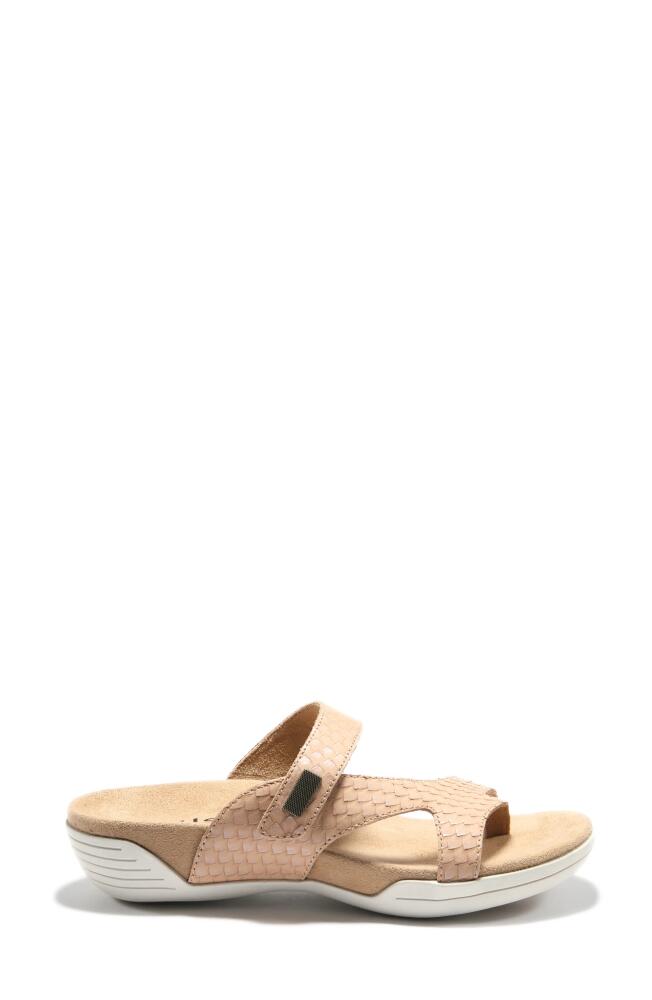 Hälsa Footwear Hälsa Darline Asymmetrical Slide Sandal in Taupe Leather Cover