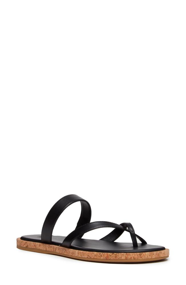 PAIGE Dianne Slide Sandal in Black Cover