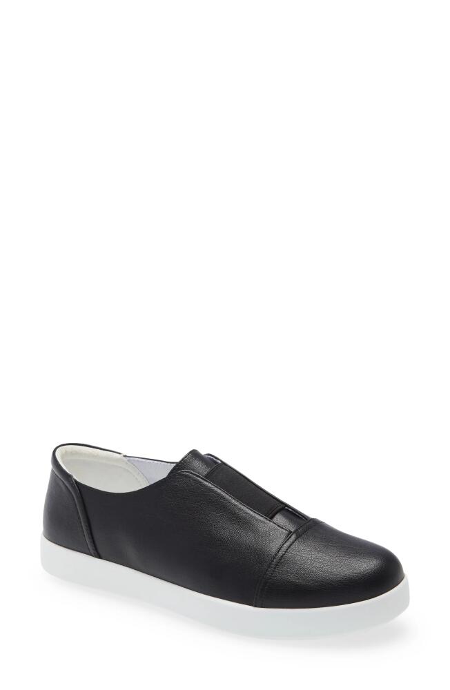 Alegria by PG Lite Posy Slip-On Sneaker in Black Leather Cover