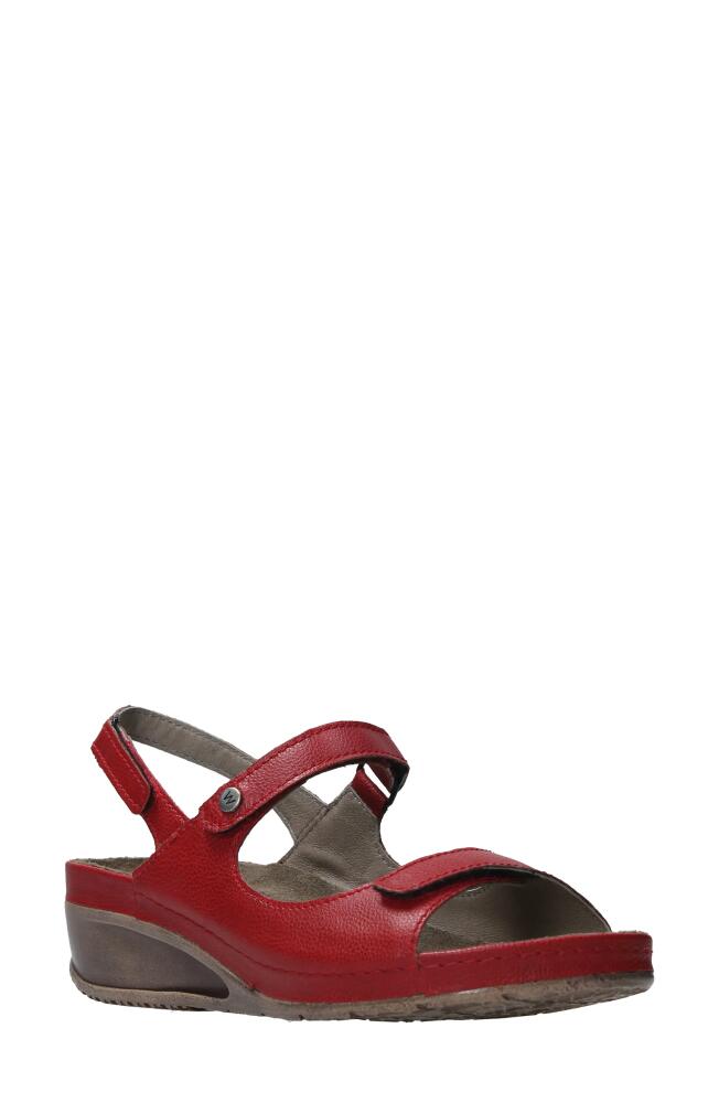 Wolky Pica Slingback Wedge Sandal in Red Biocare Cover