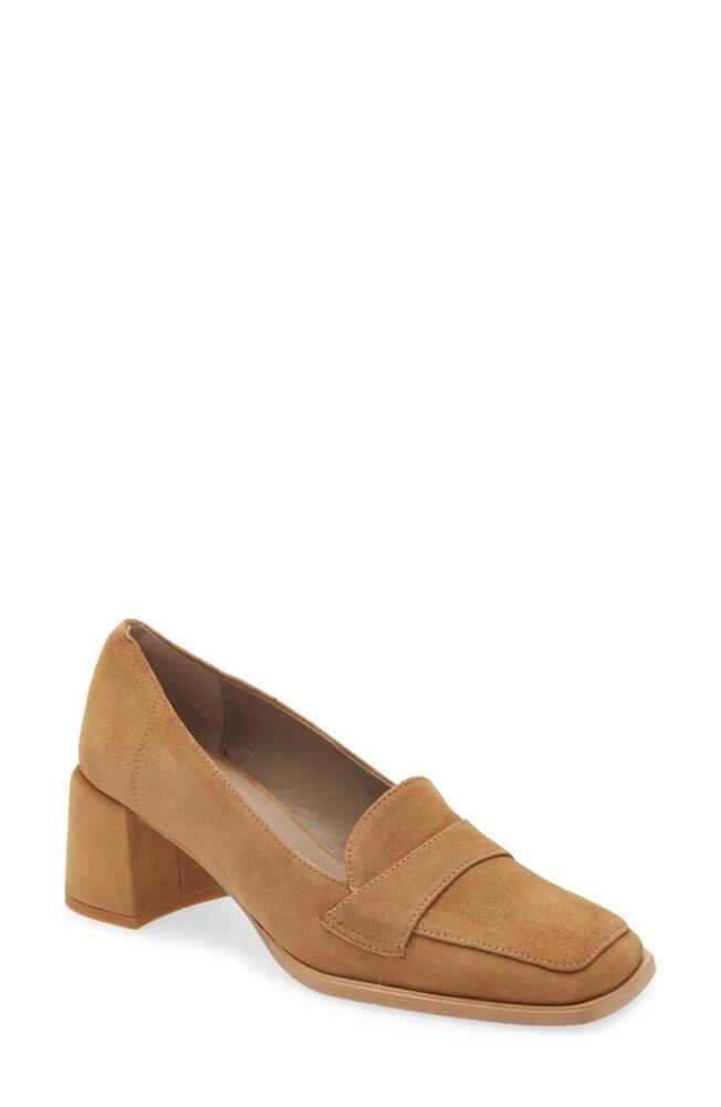 Cordani Nisha Square Toe Pump in Cuoio Suede Cover