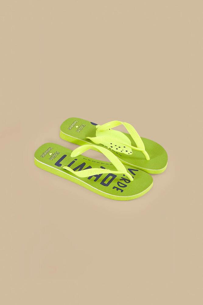 FARM Rio Green Lime Havaianas Sandals Cover