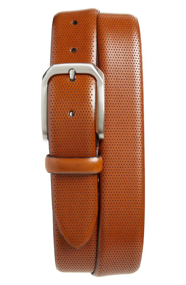 Johnston & Murphy Calfskin Belt in Tan Cover