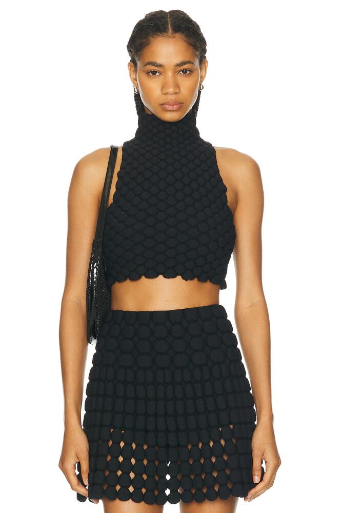 ALAÏA Halterneck Cropped Tank Top in Black Cover