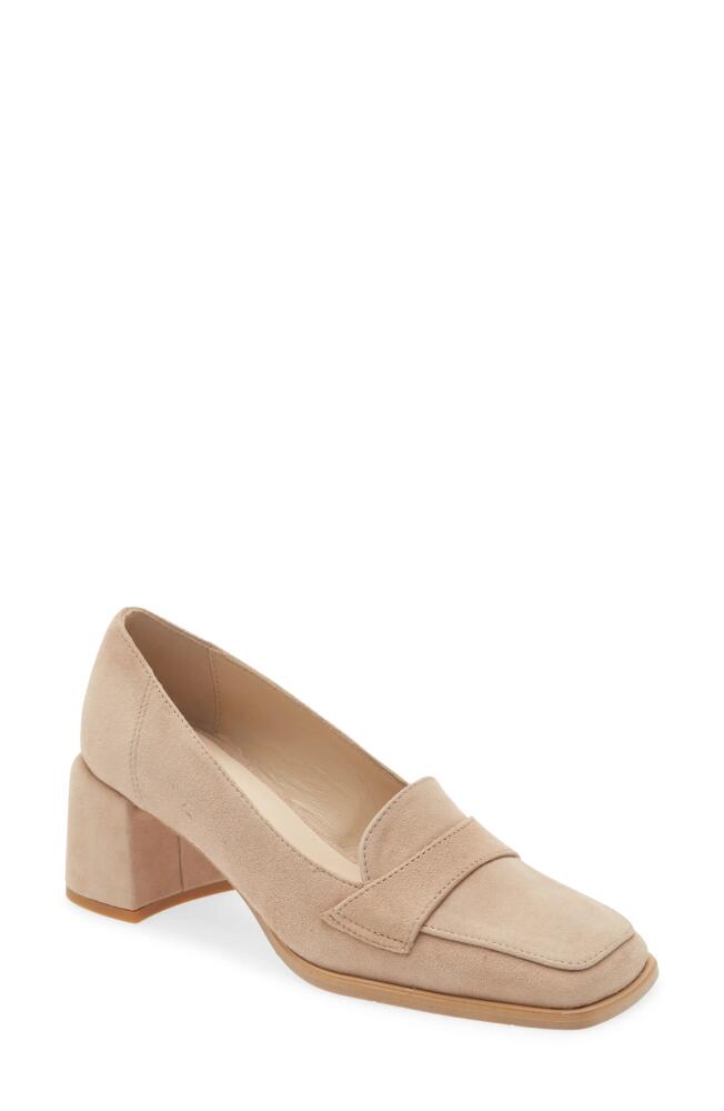 Cordani Nisha Square Toe Pump in Sabbia Suede Cover