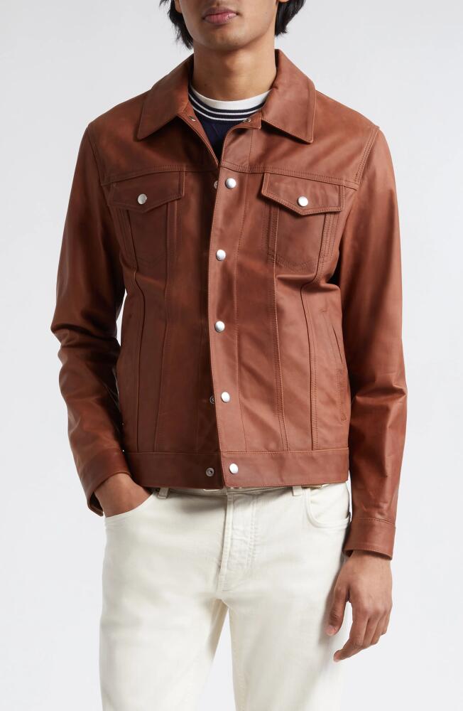 Eleventy Leather Trucker Jacket in Brown Cover