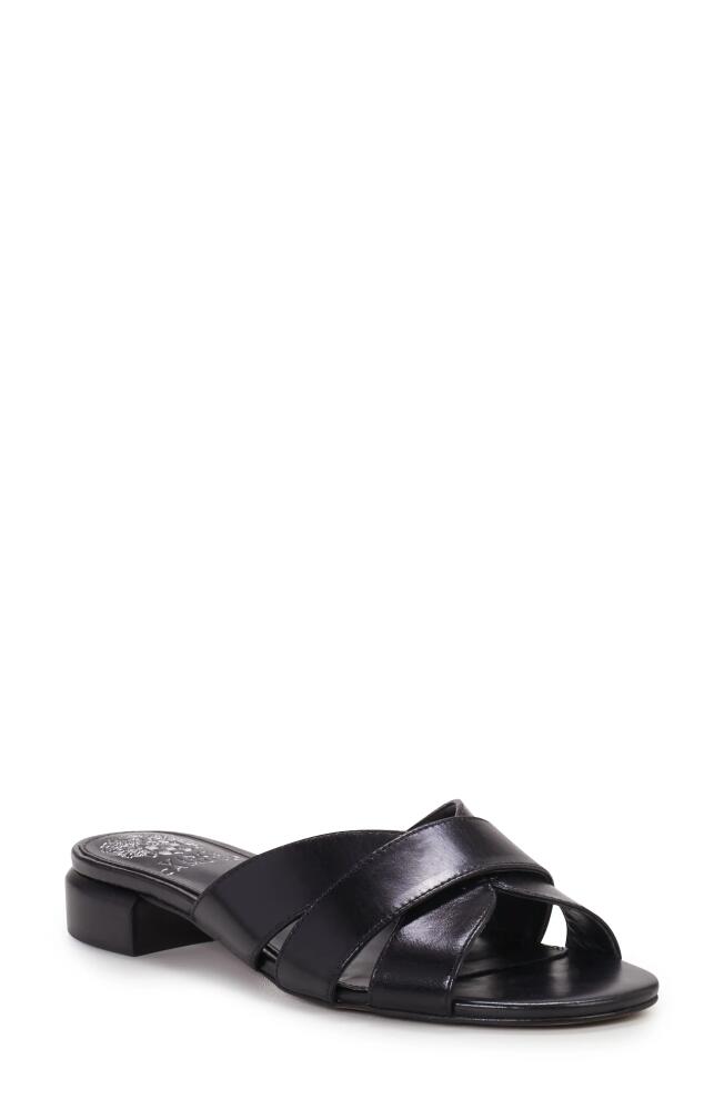 Vince Camuto Maydree Slide Sandal in Black Cover