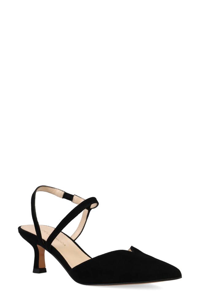 Pelle Moda Kearn Asymmetric Ankle Strap Pump in Black Cover