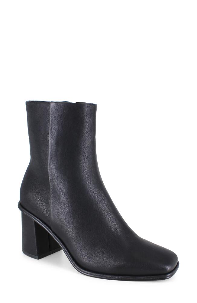 Splendid Vale Bootie in Black Cover