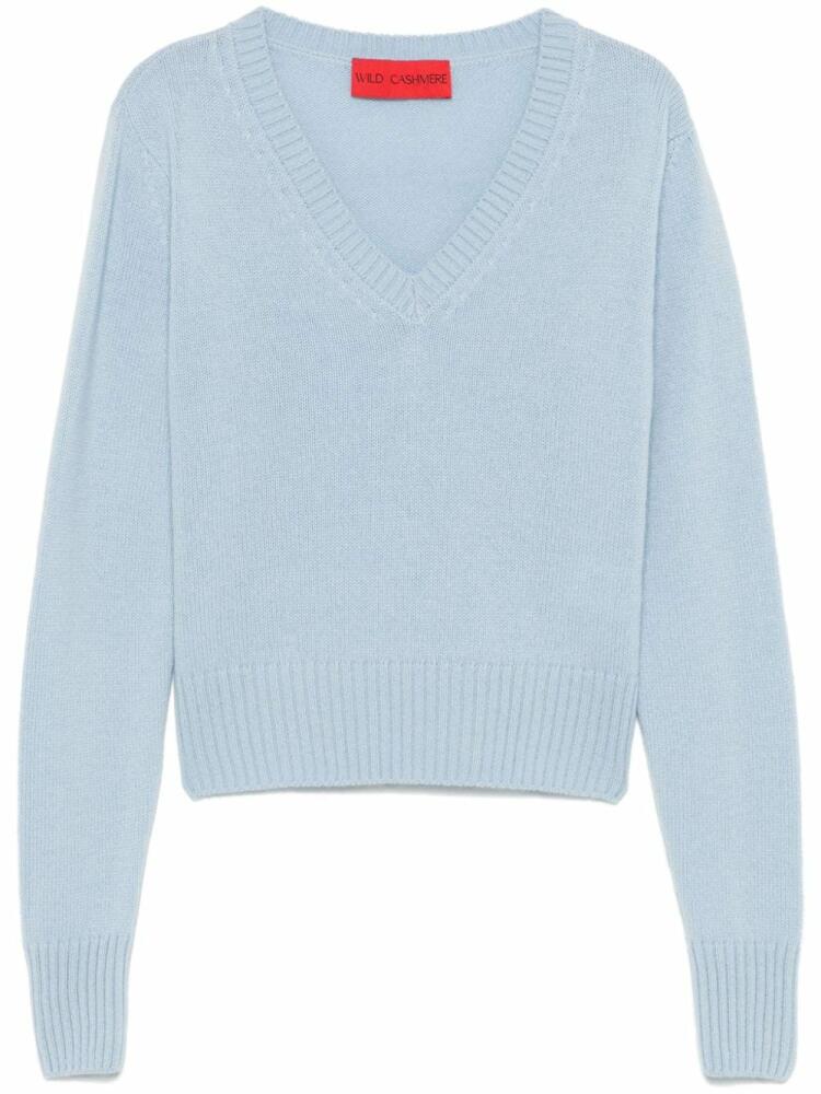 Wild Cashmere V-neck sweater - Blue Cover