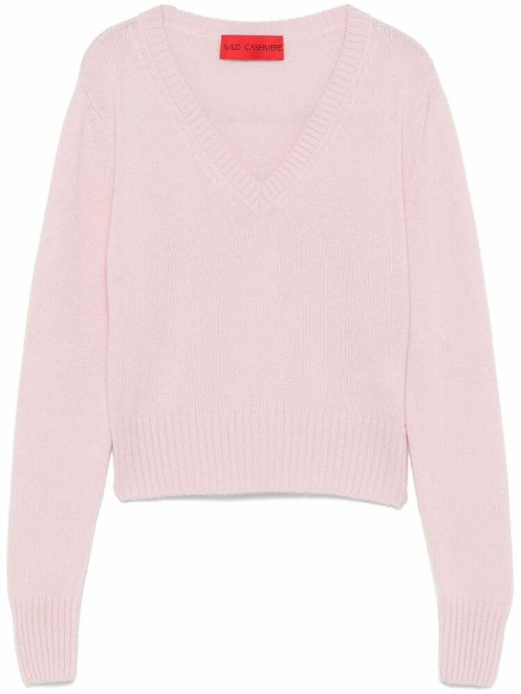 Wild Cashmere V-neck sweater - Pink Cover