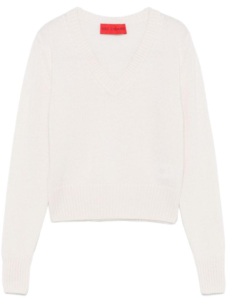 Wild Cashmere V-neck sweater - Neutrals Cover