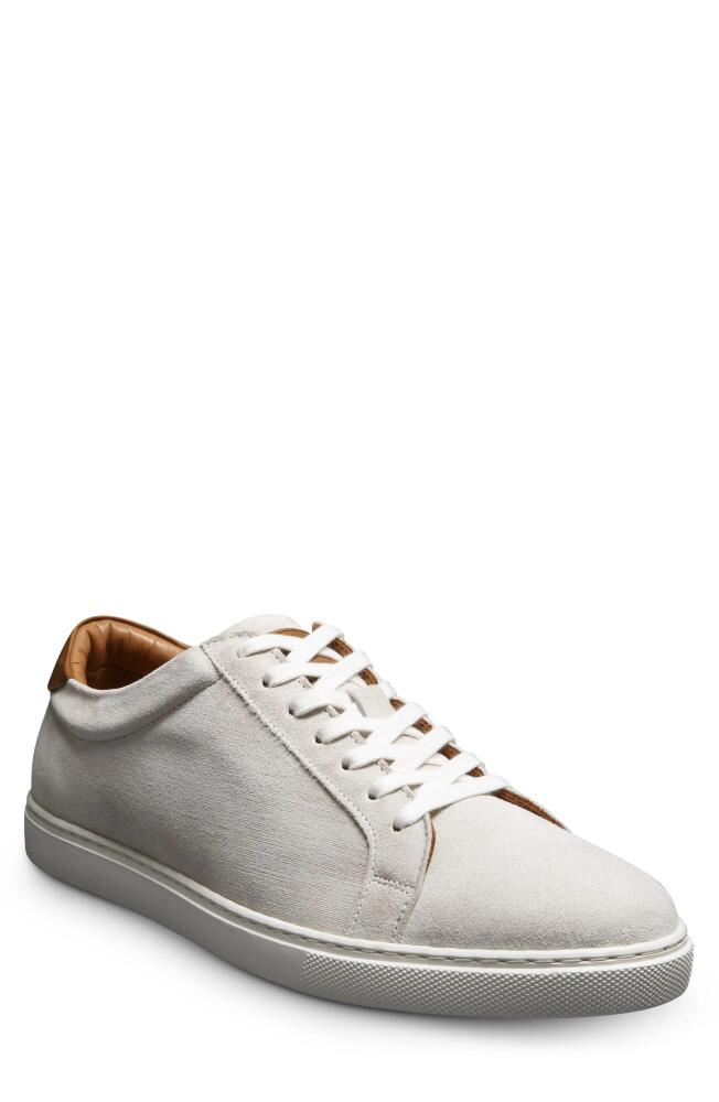 Allen Edmonds Courtside Sneaker in Light Grey Suede Cover