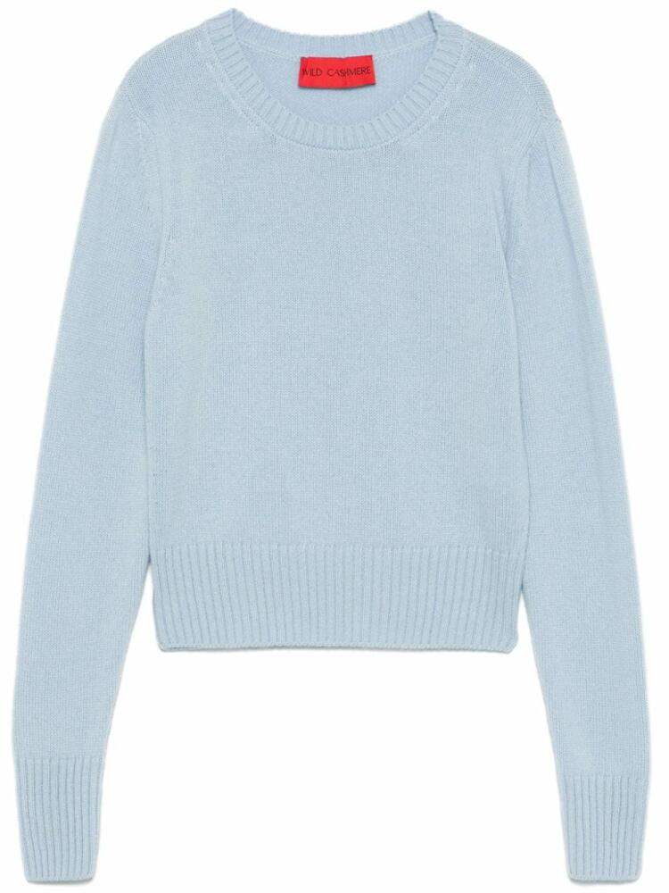 Wild Cashmere crew neck sweater - Blue Cover