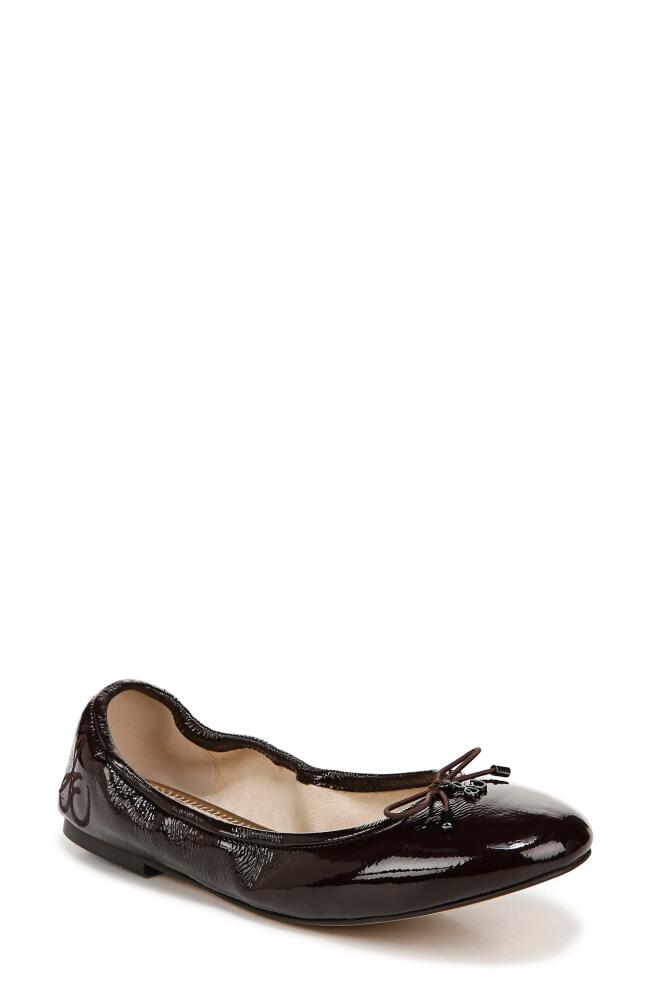 Sam Edelman Felicia Ballet Flat in Cafe Noir Cover