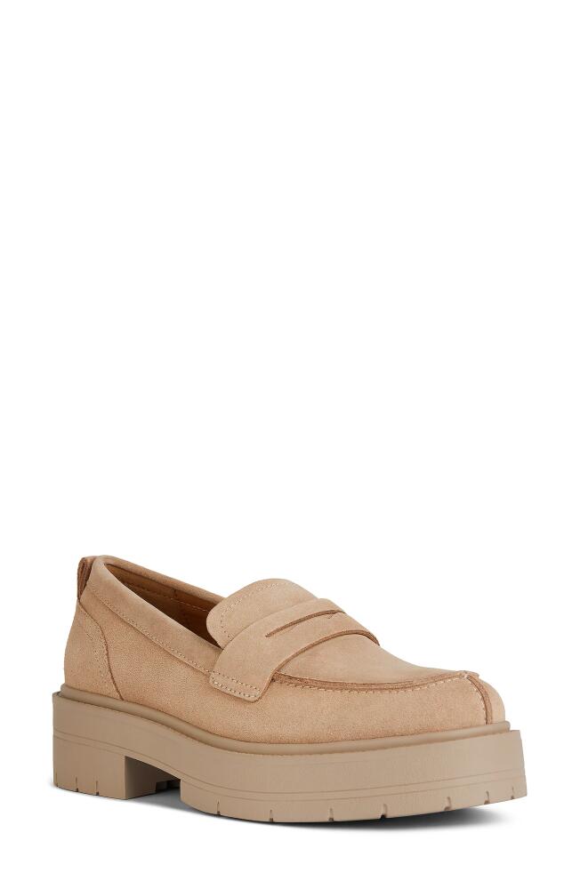 Geox Spherica Platform Penny Loafer in Beige Cover