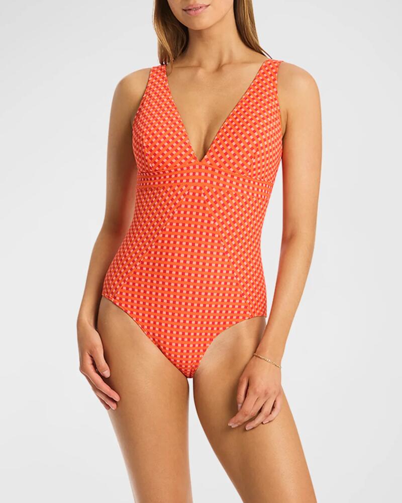 Sea Level Swim Checkmate Panel Line One-Piece Swimsuit Cover