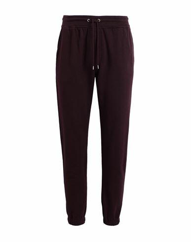 Colorful Standard Man Pants Burgundy Cotton Cover