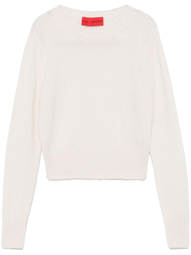 Wild Cashmere crew neck sweater - Neutrals Cover