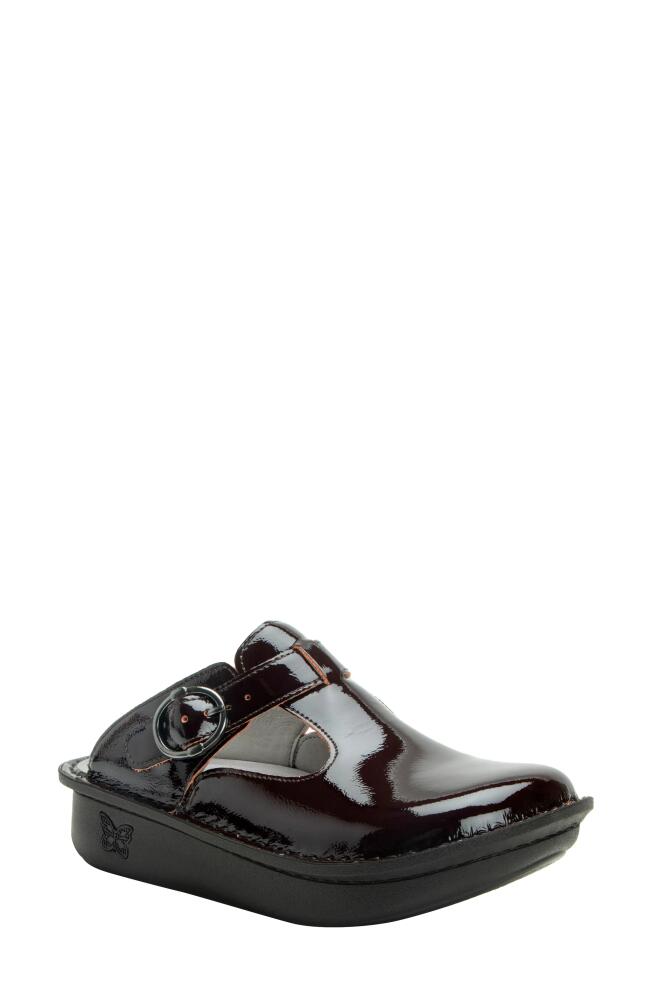 Alegria by PG Lite Classic Clog in Black Cherry Cover