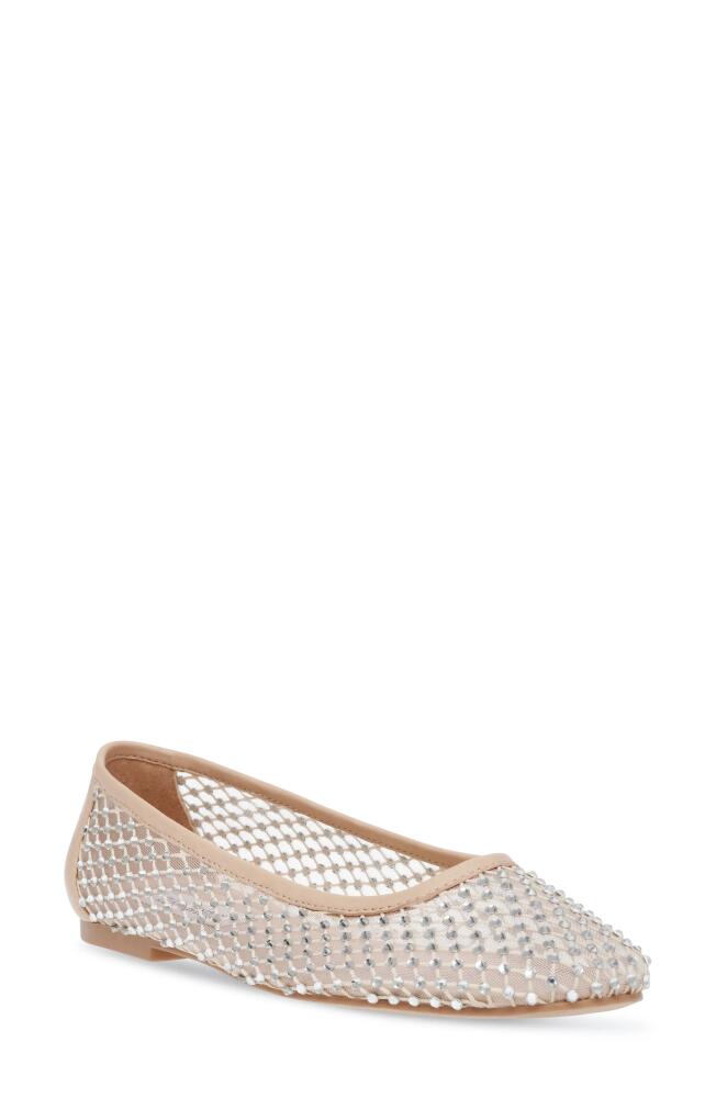 Steve Madden Auden Embellished Flat in Cream Cover