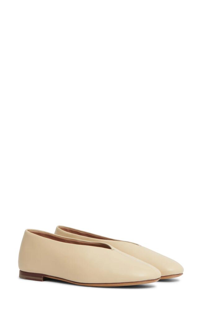 Mansur Gavriel Glove Flat in Dune Cover